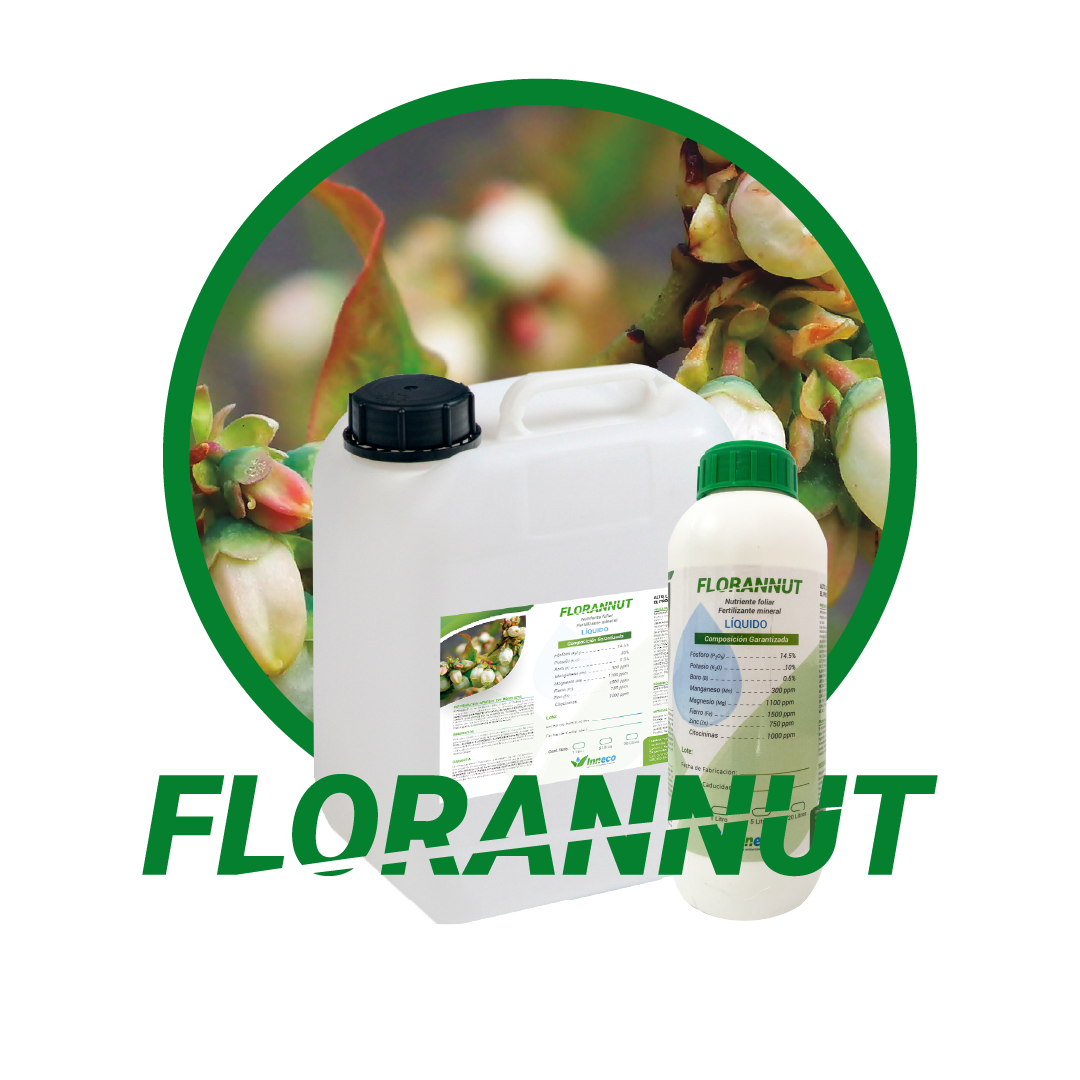 FLORANNUT