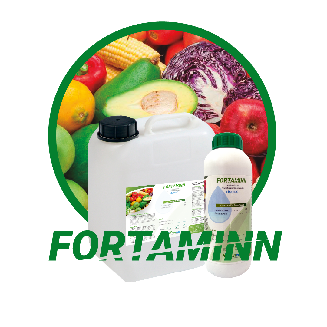 FORTAMINN