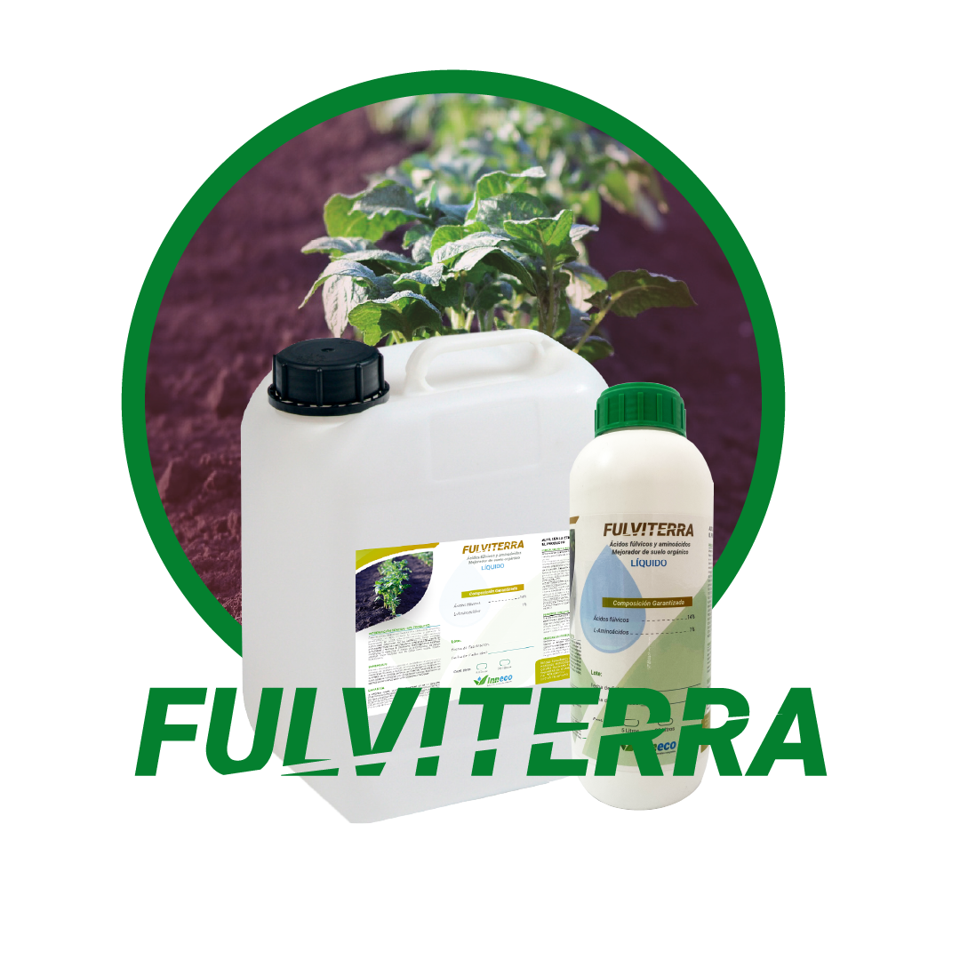 FULVITERRA