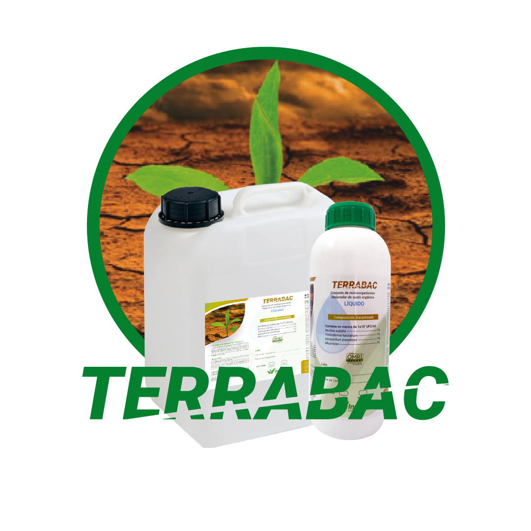 TERRABAC